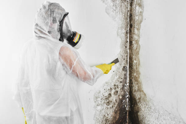 Best Crawl Space Mold Removal  in Cornwall, PA