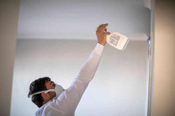 Trusted Cornwall, PA Mold Removal Experts