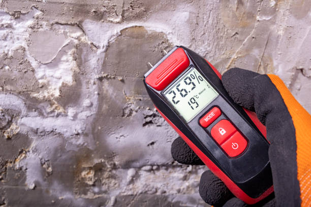 Best Mold Remediation  in Cornwall, PA