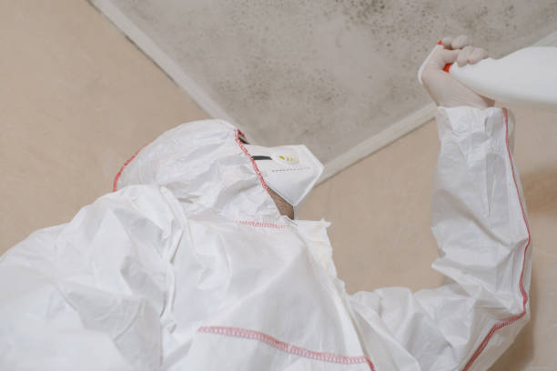 Best Professional Mold Removal  in Cornwall, PA