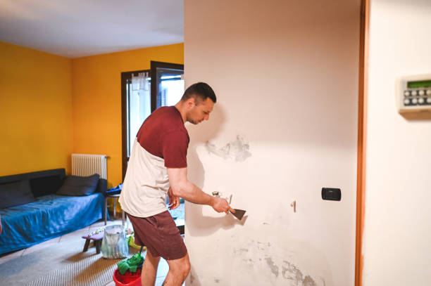 Best Residential Mold Removal  in Cornwall, PA
